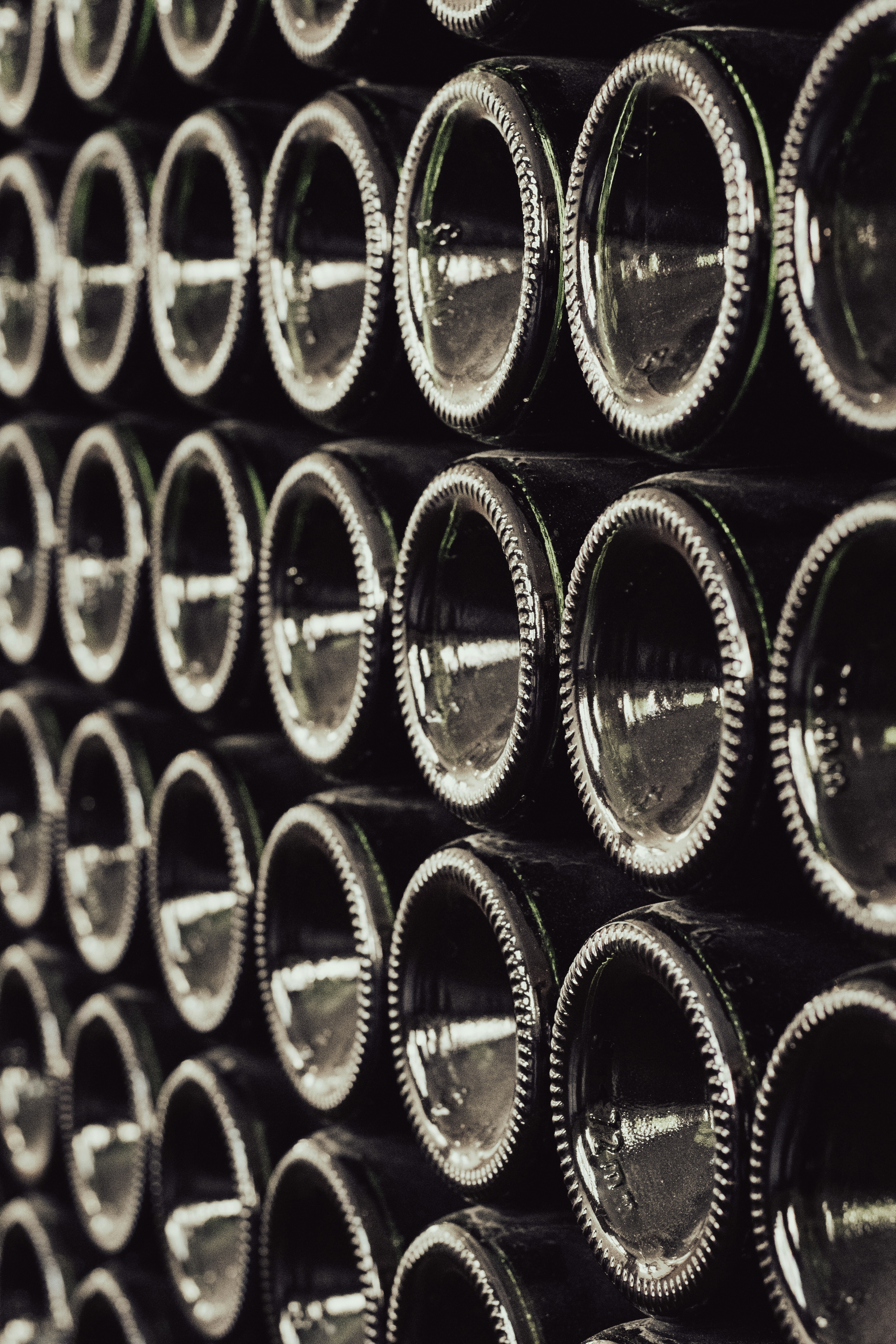 Wine bottles aging in a dark cellar, seen from the bottom