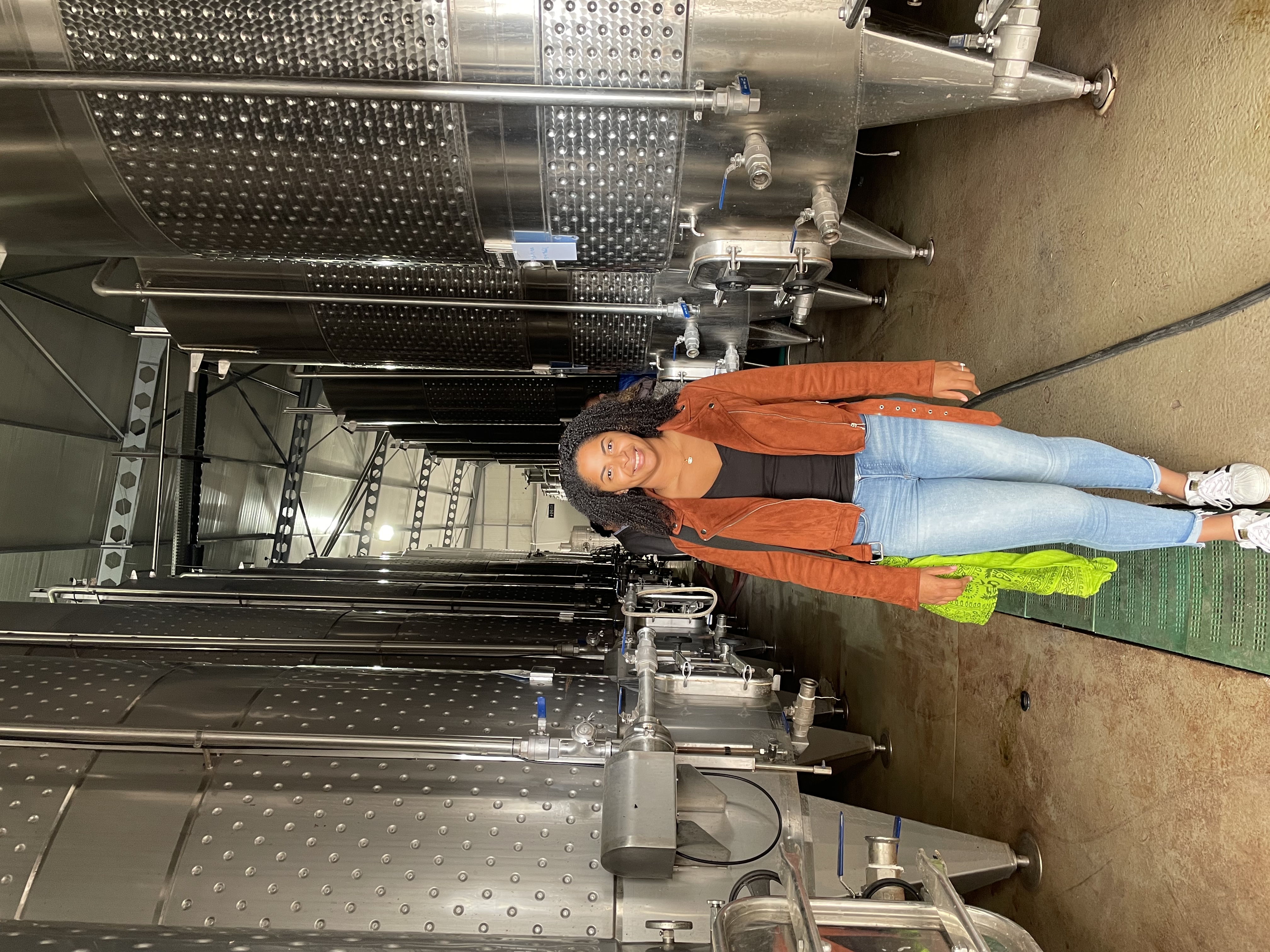 Inside the cellar at Erdel Winery